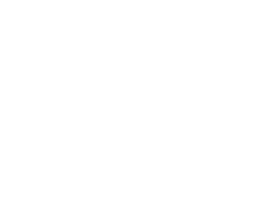 Muze at Met