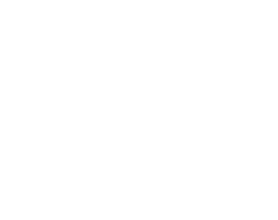 Maizon
