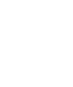 Palmetto Promenade