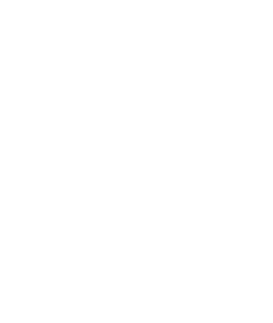 Palmetto Promenade
