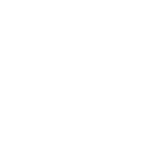 Navara