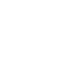 Avida Aventura