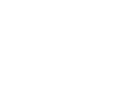 Avida Aventura
