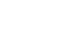 The Ryon