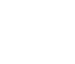 The Ryon