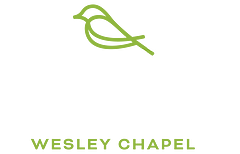Vireo Wesley Chapel