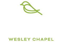 Vireo Wesley Chapel