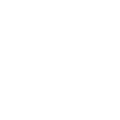 Nantucket at Fannin Station