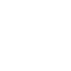 Orleans at Fannin Station