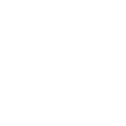 Orleans at Fannin Station