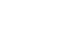 The Brady