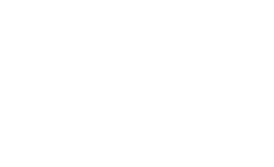 The Brady