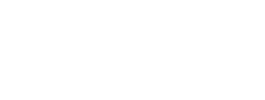 Allegro Palm