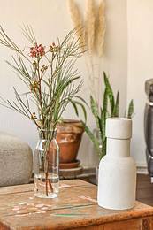 plant in vase on table