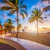 beach and palm trees at sunrise