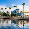 View from water of building and palm trees