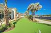 Vibrant mini-golf green with palm trees beside a waterway.