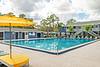 A sunny pool area surrounded by palm trees and lounge chairs at an apartment complex.