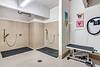 A clean pet bathing area with showers and grooming table.