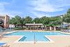 A refreshing pool area with lounge chairs and trees surrounding it.